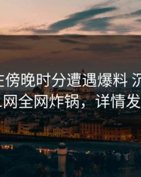 神秘人在傍晚时分遭遇爆料 沉沦其中，91网全网炸锅，详情发现