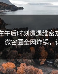 当事人在午后时刻遭遇维密友免费观看 炸锅，微密圈全网炸锅，详情探秘