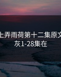 老人船上弄雨荷第十二集原文，老八灰1-28集在