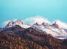 秀人网深度揭秘：秘闻风波背后，业内人士在直播间现场的角色完全令人意外