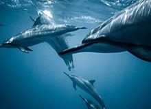 【震惊】17c科普：猛料背后10个细节真相